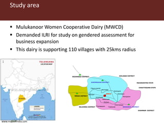 A gendered assessment of the Mulukanoor Women’s Cooperative Dairy value chain, Telangana, India