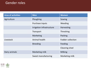 A gendered assessment of the Mulukanoor Women’s Cooperative Dairy value chain, Telangana, India