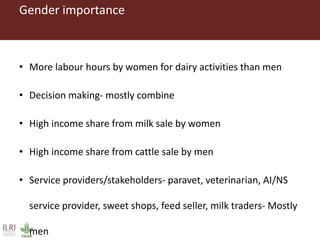 A gendered assessment of the Mulukanoor Women’s Cooperative Dairy value chain, Telangana, India
