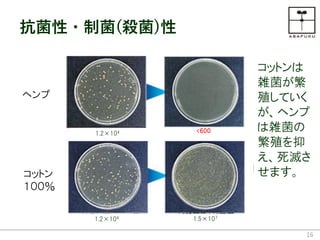 16
抗菌性・制菌(殺菌)性
コットンは
雑菌が繁
殖していく
が、ヘンプ
は雑菌の
繁殖を抑
え、死滅さ
せます。
ヘンプ
コットン
１００％
1.2×104
1.2×104
<600
1.5×107
 