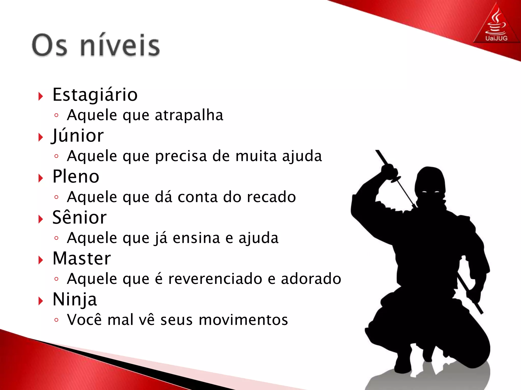 EstagiárioAquele que atrapalhaJúniorAquele que precisa de muita ajudaPlenoAquele que dá conta do recadoSêniorAquele que já ensina e ajudaMasterAquele que é reverenciado e adoradoNinjaVocê mal vê seus movimentosOs níveis