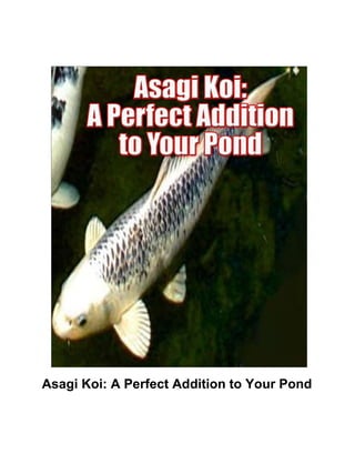 Asagi Koi: A Perfect Addition to Your Pond   