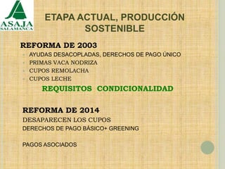 ETAPA ACTUAL, PRODUCCIÓN
SOSTENIBLE
REFORMA DE 2003
 AYUDAS DESACOPLADAS, DERECHOS DE PAGO ÚNICO
 PRIMAS VACA NODRIZA
 CUPOS REMOLACHA
 CUPOS LECHE
REQUISITOS CONDICIONALIDAD
REFORMA DE 2014
DESAPARECEN LOS CUPOS
DERECHOS DE PAGO BÁSICO+ GREENING
PAGOS ASOCIADOS
 