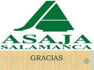 GRACIAS
 
