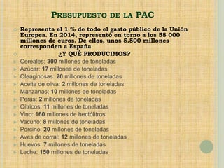 PRESUPUESTO DE LA PAC
 Representa el 1 % de todo el gasto público de la Unión
Europea. En 2014, representó en torno a los 58 000
millones de euros. De ellos, unos 5.500 millones
corresponden a España
 ¿Y QUÉ PRODUCIMOS?
 Cereales: 300 millones de toneladas
 Azúcar: 17 millones de toneladas
 Oleaginosas: 20 millones de toneladas
 Aceite de oliva: 2 millones de toneladas
 Manzanas: 10 millones de toneladas
 Peras: 2 millones de toneladas
 Cítricos: 11 millones de toneladas
 Vino: 160 millones de hectólitros
 Vacuno: 8 millones de toneladas
 Porcino: 20 millones de toneladas
 Aves de corral: 12 millones de toneladas
 Huevos: 7 millones de toneladas
 Leche: 150 millones de toneladas
 