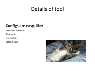 Details of tool
Configs are easy, like:
Headless browser
Threshold
User agent
Screen sizes
 