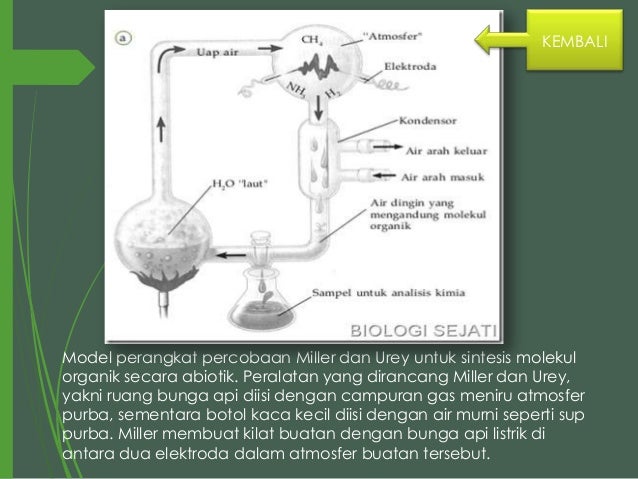 BIOLOGITeori Asal usul kehidupan