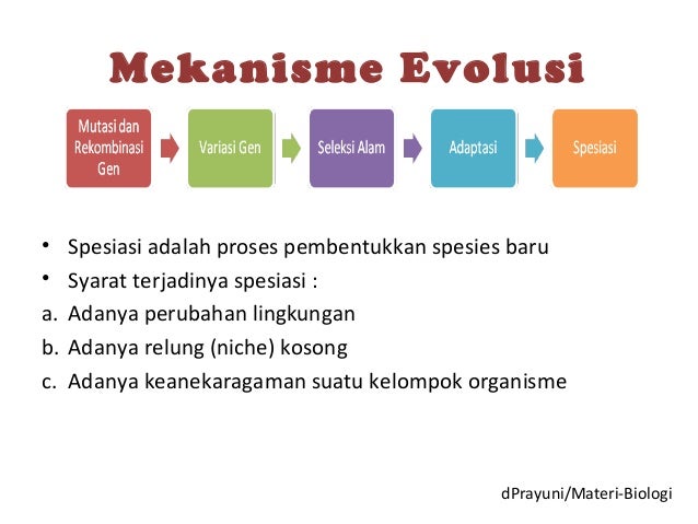 Contoh Evolusi Dalam Biologi - Contoh Z