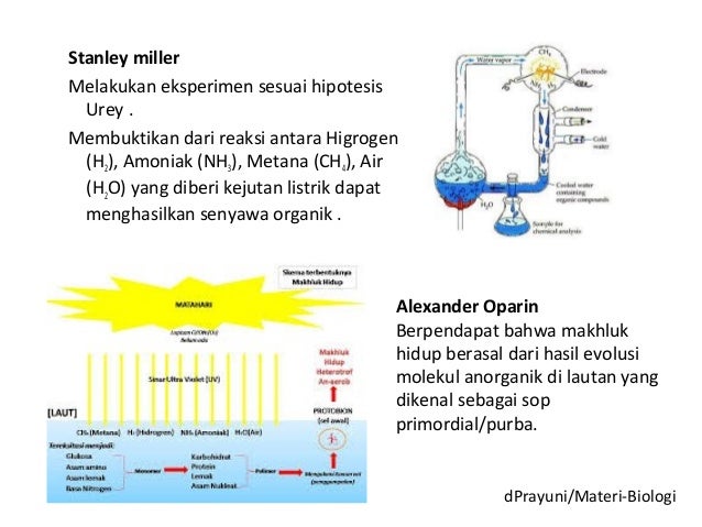 Asal Usul Kehidupan Dan Evolusi