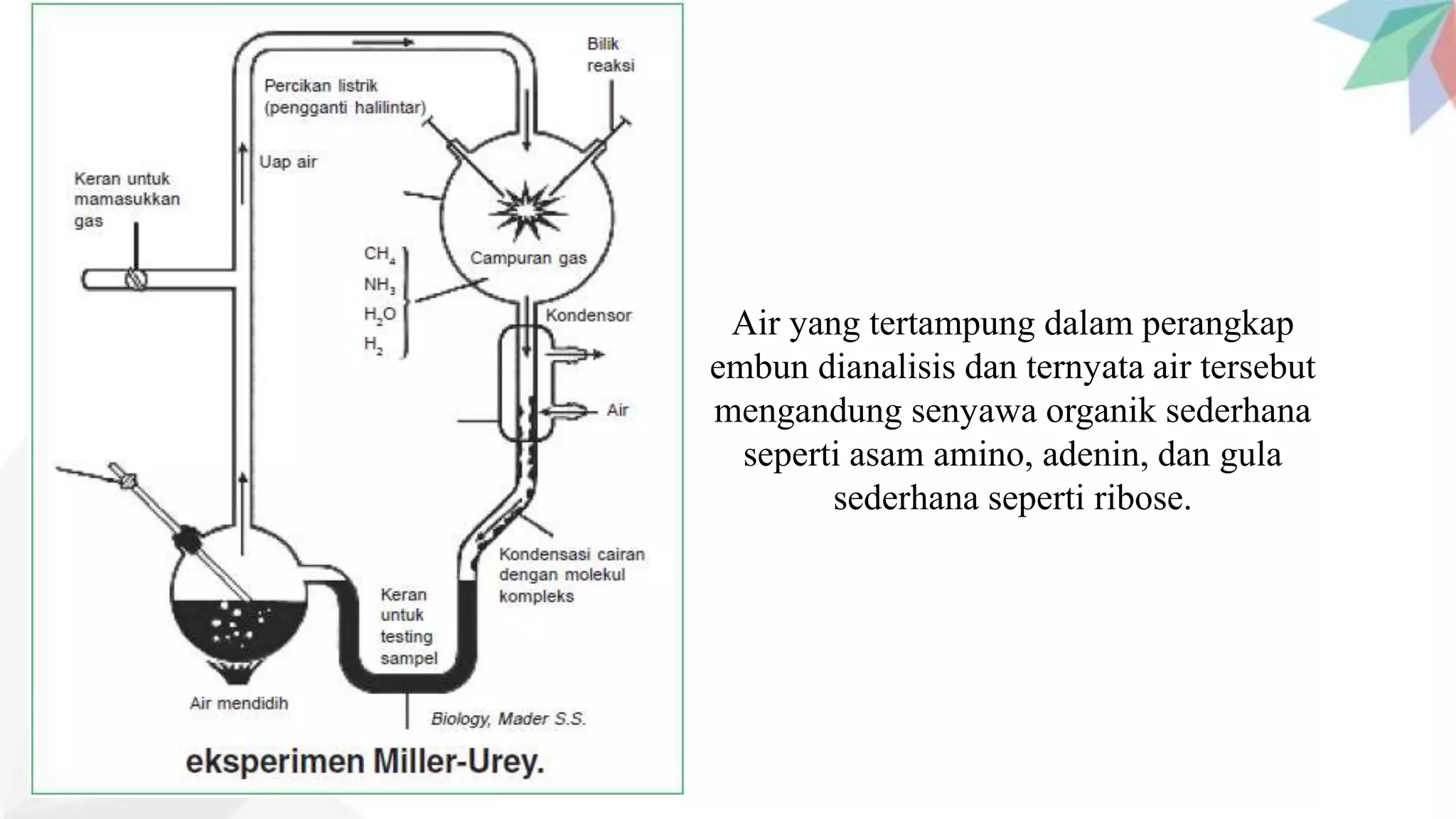 Asal-Usul Kehidupan dan Evolusi.pptx
