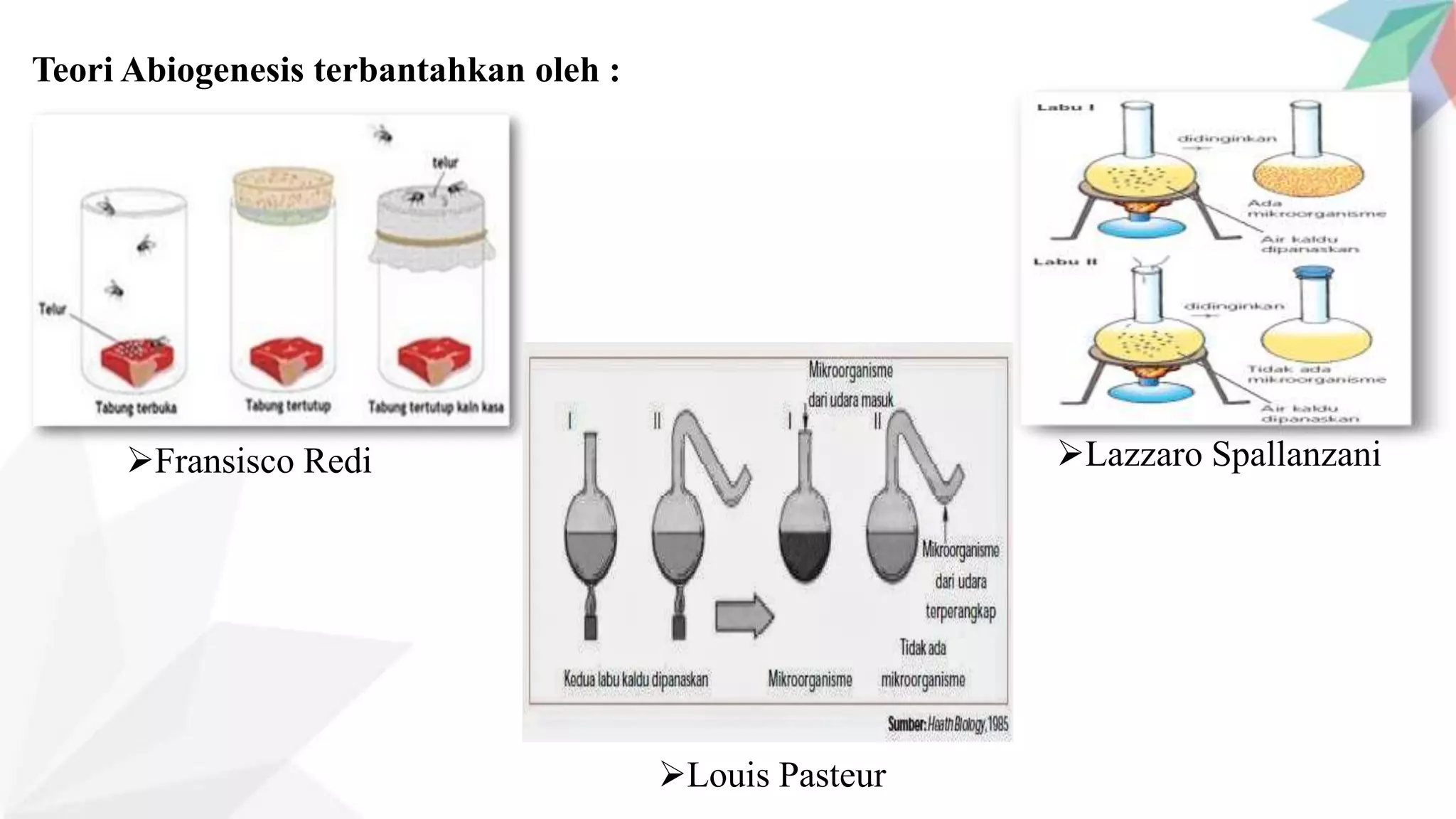 Asal-Usul Kehidupan dan Evolusi.pptx