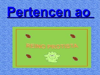 Pertencen aoPertencen ao
 