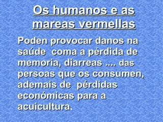 Os humanos e asOs humanos e as
mareas vermellasmareas vermellas
Poden provocar danos naPoden provocar danos na
saúde coma a pérdida desaúde coma a pérdida de
memoria, diarreas ....memoria, diarreas .... dasdas
persoas que os consumen,persoas que os consumen,
ademais de pérdidasademais de pérdidas
económicas para aeconómicas para a
acuiculturaacuicultura.
 