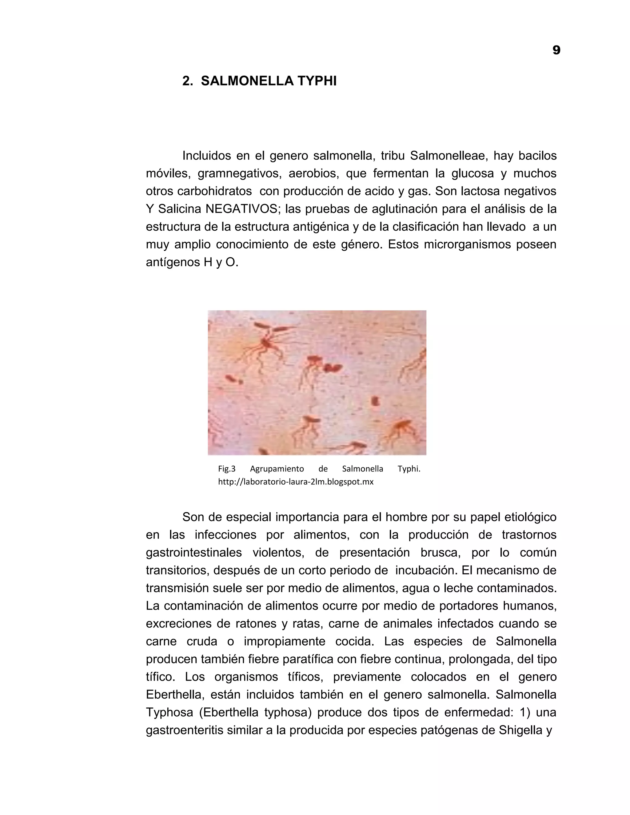 1
                                                                           9

      2. SALMONELLA TYPHI




       Incluidos en el genero salmonella, tribu Salmonelleae, hay bacilos
móviles, gramnegativos, aerobios, que fermentan la glucosa y muchos
otros carbohidratos con producción de acido y gas. Son lactosa negativos
Y Salicina NEGATIVOS; las pruebas de aglutinación para el análisis de la
estructura de la estructura antigénica y de la clasificación han llevado a un
muy amplio conocimiento de este género. Estos microrganismos poseen
antígenos H y O.




             Fig.3    Agrupamiento      de    Salmonella   Typhi.
             http://laboratorio-laura-2lm.blogspot.mx


        Son de especial importancia para el hombre por su papel etiológico
en las infecciones por alimentos, con la producción de trastornos
gastrointestinales violentos, de presentación brusca, por lo común
transitorios, después de un corto periodo de incubación. El mecanismo de
transmisión suele ser por medio de alimentos, agua o leche contaminados.
La contaminación de alimentos ocurre por medio de portadores humanos,
excreciones de ratones y ratas, carne de animales infectados cuando se
carne cruda o impropiamente cocida. Las especies de Salmonella
producen también fiebre paratífica con fiebre continua, prolongada, del tipo
tífico. Los organismos tíficos, previamente colocados en el genero
Eberthella, están incluidos también en el genero salmonella. Salmonella
Typhosa (Eberthella typhosa) produce dos tipos de enfermedad: 1) una
gastroenteritis similar a la producida por especies patógenas de Shigella y

                                              9
 