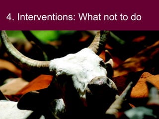 Livestock revolution: Exploiting the potential of Kenya's Arid and Semi Arid lands, November 2008