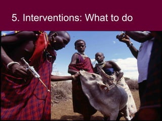 Livestock revolution: Exploiting the potential of Kenya's Arid and Semi Arid lands, November 2008