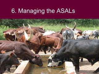 Livestock revolution: Exploiting the potential of Kenya's Arid and Semi Arid lands, November 2008