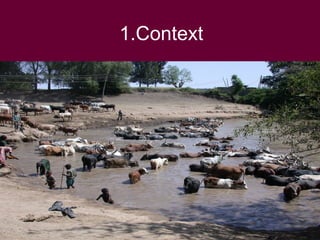 Livestock revolution: Exploiting the potential of Kenya's Arid and Semi Arid lands, November 2008