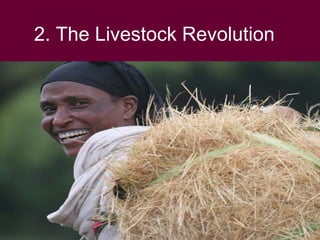 Livestock revolution: Exploiting the potential of Kenya's Arid and Semi Arid lands, November 2008
