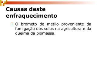 O brometo de metilo proveniente da fumigação dos solos na agricultura e da queima da biomassa. Causas deste enfraquecimento 