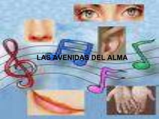 LAS AVENIDAS DEL ALMA
 