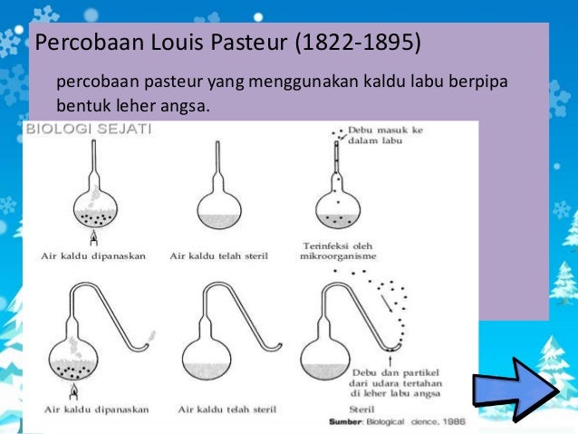 Biologi Asal Usul Kehidupan Biologi Asal Usul Kehidupan