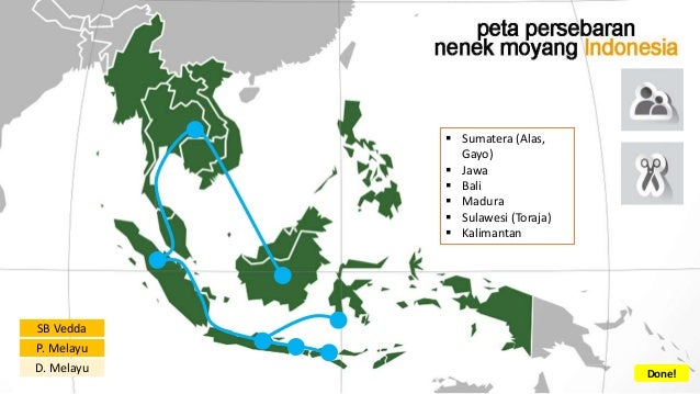 Asal Usul Nenek Moyang Bangsa Indonesia