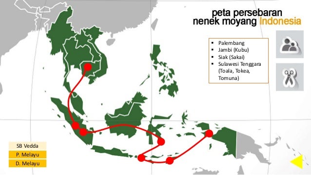 Asal Usul Dan Persebaran Nenek Moyang Bangsa Indonesia