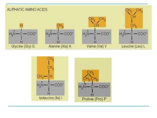 Comprehensive Overview of Amino Acids and Protein Structure, Function ...
