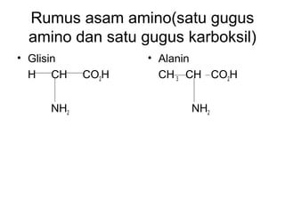 Rumus asam amino(satu gugus
amino dan satu gugus karboksil)
• Glisin
H CH CO2H
NH2
• Alanin
CH 3 CH CO2H
NH2
 