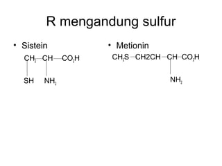R mengandung sulfur
• Sistein
CH2 CH CO2H
SH NH2
• Metionin
CH2S CH2CH CH CO2H
NH2
 