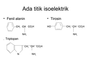 Ada titik isoelektrik
• Fenil alanin
CH2 CH CO2H
NH2
. Triptopan
CH2 CH CO2H
N NH2
• Tirosin
HO CH2 CH CO2H
NH2
 