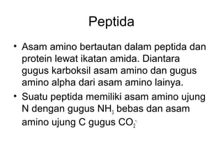 Peptida
• Asam amino bertautan dalam peptida dan
protein lewat ikatan amida. Diantara
gugus karboksil asam amino dan gugus
amino alpha dari asam amino lainya.
• Suatu peptida memiliki asam amino ujung
N dengan gugus NH3 bebas dan asam
amino ujung C gugus CO2
-.
 