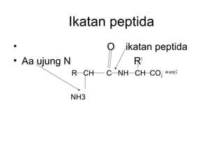 Ikatan peptida
• O ikatan peptida
• Aa ujung N R!
R CH C NH CH CO2
- aa ujung C
NH3
 