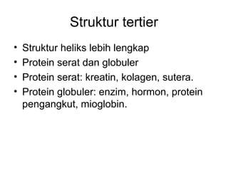 Struktur tertier
• Struktur heliks lebih lengkap
• Protein serat dan globuler
• Protein serat: kreatin, kolagen, sutera.
• Protein globuler: enzim, hormon, protein
pengangkut, mioglobin.
 