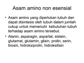 Asam amino non esensial
• Asam amino yang diperlukan tubuh dan
dapat disintesis oleh tubuh dalam jumlah
cukup untuk memenuhi kebutuhan tubuh
terhadap asam amino tersebut.
• Alanin, asparagin, aspartat, sistein,
glutamat, glutamin, glisin, prolin, serin,
tirosin, hidroksiprolin, hidroksilisin
 