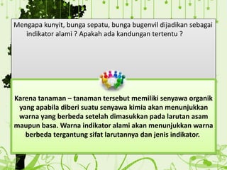 Mengapa kunyit, bunga sepatu, bunga bugenvil dijadikan sebagai
indikator alami ? Apakah ada kandungan tertentu ?
Karena tanaman – tanaman tersebut memiliki senyawa organik
yang apabila diberi suatu senyawa kimia akan menunjukkan
warna yang berbeda setelah dimasukkan pada larutan asam
maupun basa. Warna indikator alami akan menunjukkan warna
berbeda tergantung sifat larutannya dan jenis indikator.
 