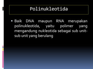 Polinukleotida
 Baik DNA maupun RNA merupakan
polinukleotida, yaitu polimer yang
mengandung nukleotida sebagai sub unit-
sub unit yang berulang
 