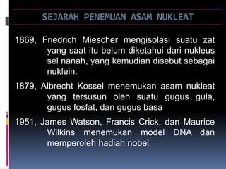 SEJARAH PENEMUAN ASAM NUKLEAT
1869, Friedrich Miescher mengisolasi suatu zat
yang saat itu belum diketahui dari nukleus
sel nanah, yang kemudian disebut sebagai
nuklein.
1879, Albrecht Kossel menemukan asam nukleat
yang tersusun oleh suatu gugus gula,
gugus fosfat, dan gugus basa
1951, James Watson, Francis Crick, dan Maurice
Wilkins menemukan model DNA dan
memperoleh hadiah nobel
 