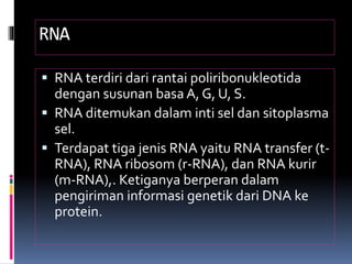 RNA
 RNA terdiri dari rantai poliribonukleotida
dengan susunan basa A, G, U, S.
 RNA ditemukan dalam inti sel dan sitoplasma
sel.
 Terdapat tiga jenis RNA yaitu RNA transfer (t-
RNA), RNA ribosom (r-RNA), dan RNA kurir
(m-RNA),. Ketiganya berperan dalam
pengiriman informasi genetik dari DNA ke
protein.
 