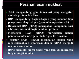 Peranan asam nukleat
• DNA mengandung gen, informasi yang mengatur
sintesis protein dan RNA.
• DNA mengandung bagian-bagian yang menentukan
pengaturan ekspresi gen (promoter, operator, dll.)
• Ribosomal RNA (rRNA) merupakan komponen dari
ribosom, mesin biologis pembuat protein
• Messenger RNAs (mRNA) merupakan bahan
pembawa informasi genetik dari gen ke ribosom
• Transfer RNAs (tRNAs) merupakan bahan yang
menterjemahkan informasi dalam mRNA menjadi
urutan asam amino
• RNAs memiliki fungsi-fungsi yang lain, di antaranya
fungsi-fungsi katalis
 