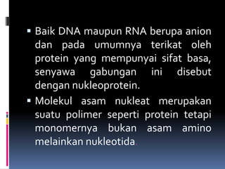  Baik DNA maupun RNA berupa anion
dan pada umumnya terikat oleh
protein yang mempunyai sifat basa,
senyawa gabungan ini disebut
dengan nukleoprotein.
 Molekul asam nukleat merupakan
suatu polimer seperti protein tetapi
monomernya bukan asam amino
melainkan nukleotida.
 