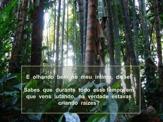E olhando bem no meu íntimo, disse:
Sabes que durante todo esse tempo em
que vens lutando, na verdade estavas
criando raízes?

 