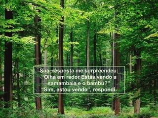 Sua resposta me surpreendeu:
“Olha em redor Estás vendo a
samambaia e o bambu?”
“Sim, estou vendo”, respondi.

 
