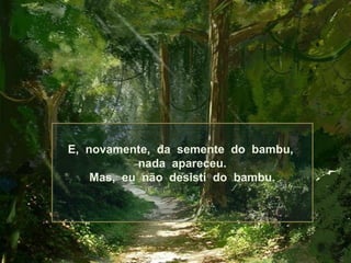 E, novamente, da semente do bambu,
nada apareceu.
Mas, eu não desisti do bambu.

 