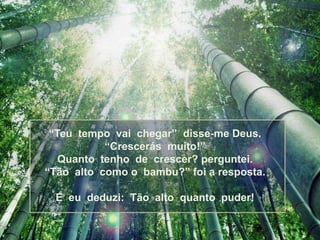 “Teu tempo vai chegar” disse-me Deus.
           “Crescerás muito!”
   Quanto tenho de crescer? perguntei.
“Tão alto como o bambu?” foi a resposta.

 E eu deduzi: Tão alto quanto puder!
 
