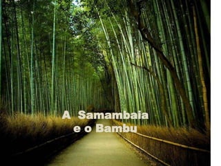 A Samambaia
 e o Bambu
 