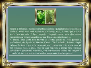 Porém, é importante nesses momentos pararmos e percebermos que isso não é
verdade. Nossa vida está acontecendo o tempo todo, e dizer que ela está
sendo boa ou ruim é bem subjetivo, depende muito mais dos nossos
pensamentos e comportamentos, do que dos acontecimentos em si.
A analise final desta rica historia é: Muitas coisas na vida pessoal e
profissional são iguais ao Bambu Chinês. Você trabalha, investe tempo,
esforço, faz tudo o que pode para nutrir seu crescimento, e, às vezes, nada vê
por semanas, meses e anos. Mas, se tiver paciência e crença para continuar
trabalhando, persistindo e nutrindo, com certeza o seu quinto ano chegará, e
com ele, virá o crescimento e as mudanças que você jamais esperava.
 