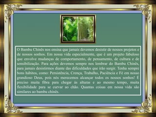 O Bambu Chinês nos ensina que jamais devemos desistir de nossos projetos e
de nossos sonhos. Em nossa vida especialmente, que é um projeto fabuloso
que envolve mudanças de comportamento, de pensamento, de cultura e de
sensibilização. Para ações devemos sempre nos lembrar do Bambu Chinês,
para jamais desistirmos diante das dificuldades que irão surgir. Tenha sempre
bons hábitos, como: Persistência, Crença, Trabalho, Paciência e Fé em nosso
grandioso Deus, pois nós merecemos alcançar todos os nossos sonhos! É
preciso muita fibra para chegar às alturas e ao mesmo tempo, muita
flexibilidade para se curvar ao chão. Quantas coisas em nossa vida são
similares ao bambu chinês.
 