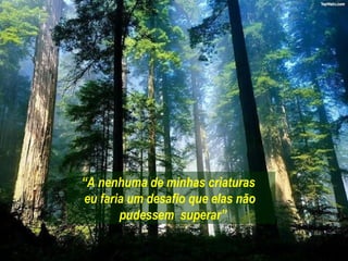 “A nenhuma de minhas criaturas
eu faria um desafio que elas não
       pudessem superar”
 